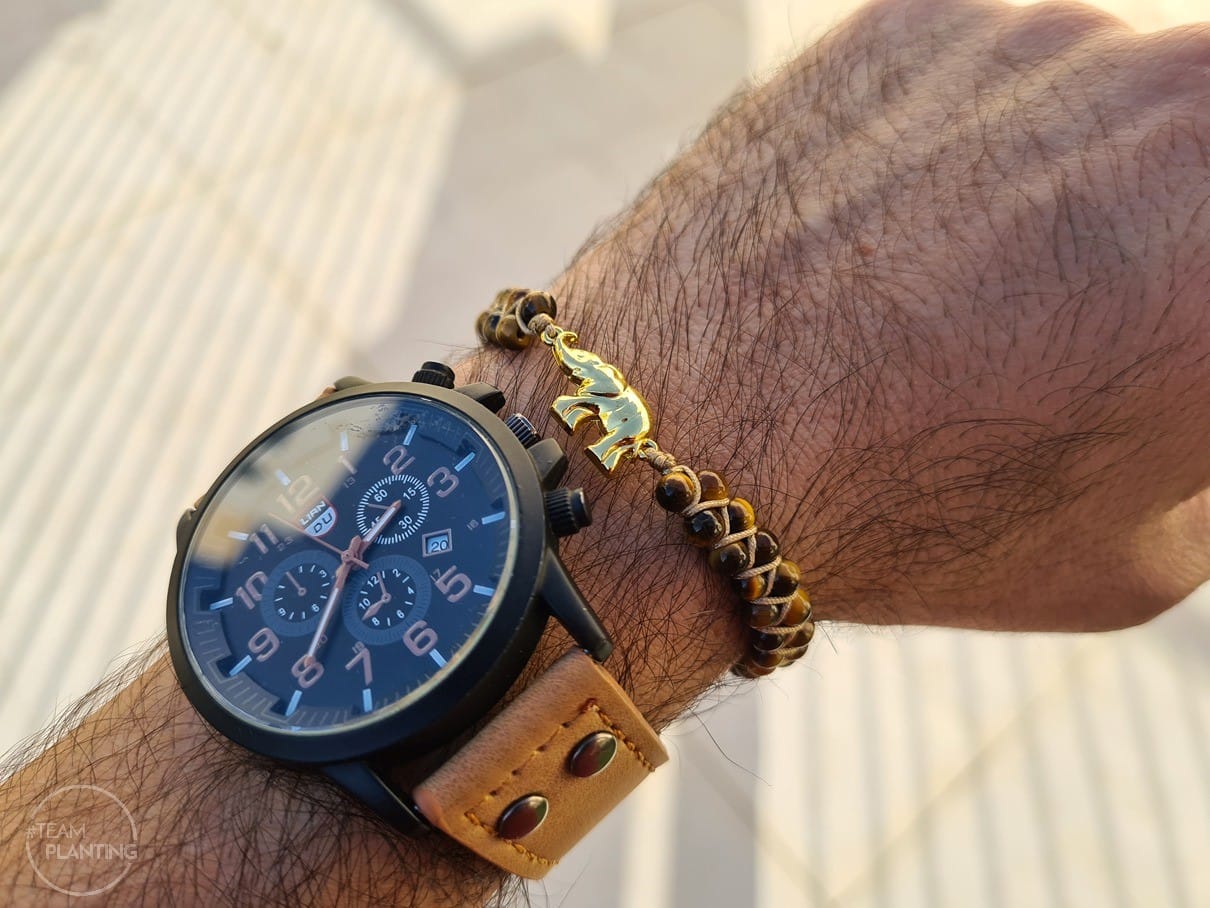 Customer photo review of Ancient Wisdom - Elephant Rainforest Jasper Bracelet