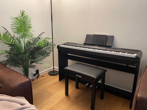 Customer photo review of Donner DEP-20 Portable Keyboard 88-Key Weighted with Stand