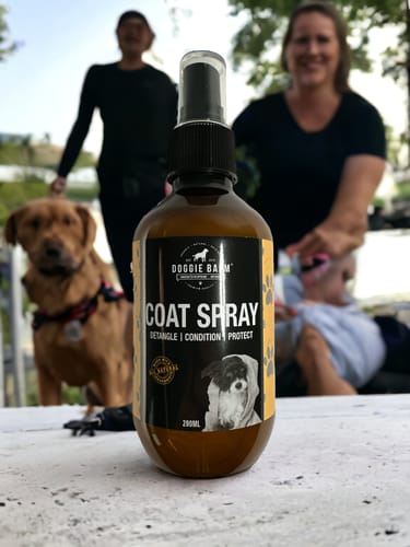 Customer photo review of DOG Coat Spray Conditioner and Detangler Grooming Essential. Formulated to moisturize and promote healthy, nourished dog coats
