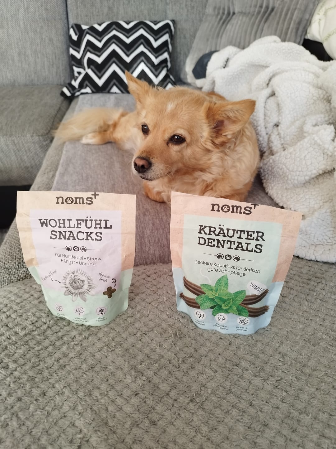 Customer photo review of Kräuter Dentals für Hunde zur Zahn- und Darmpflege (120g)