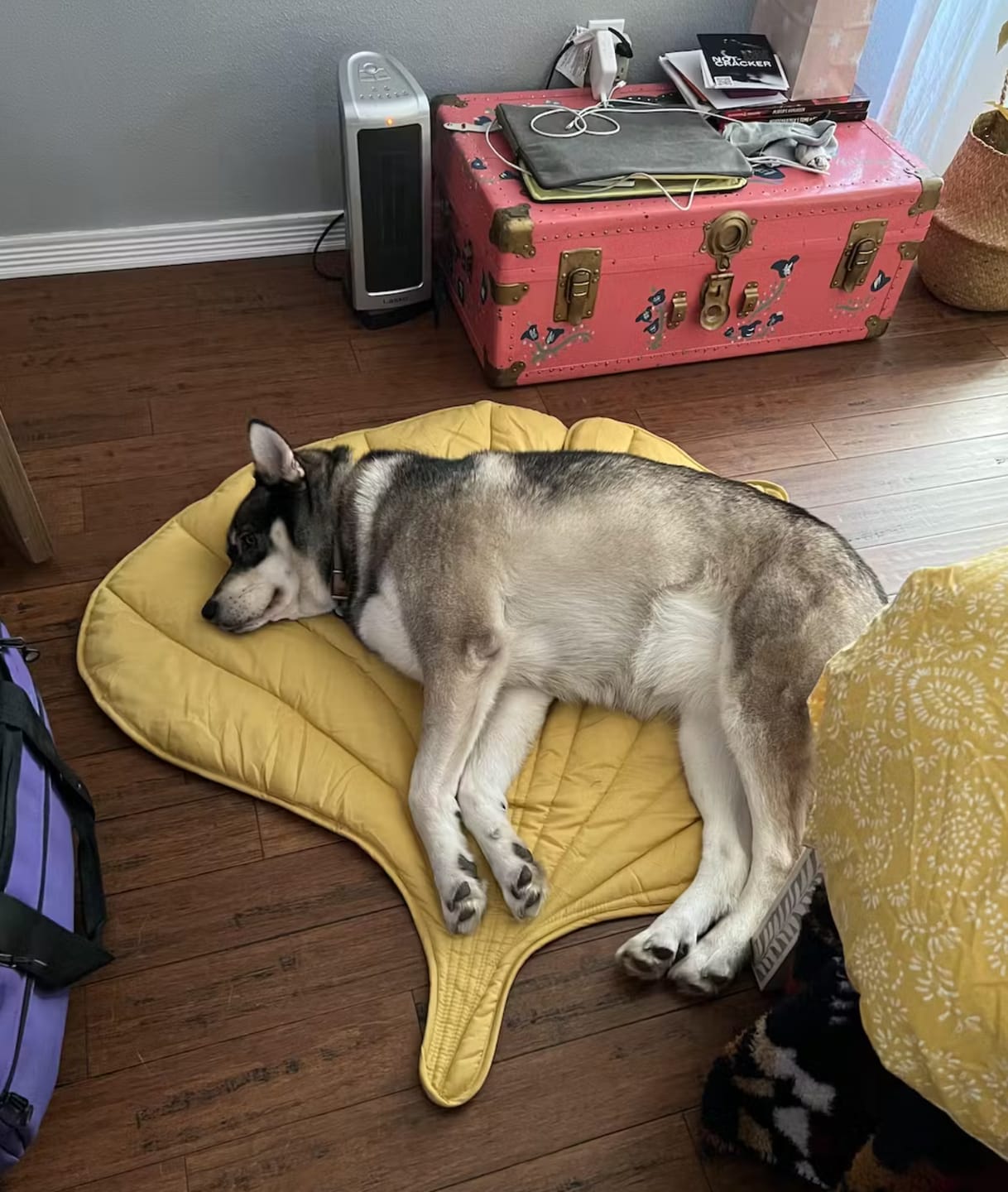 Customer photo review of Leaf Shape Mat