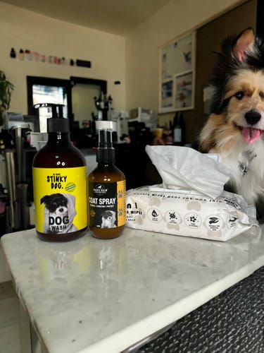 Customer photo review of DOG Bathtime Value Pack!
