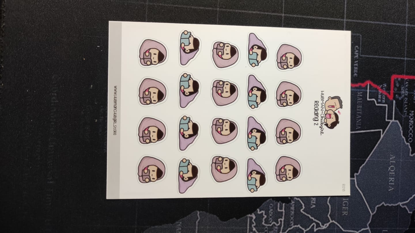 Customer photo review of Reading 2 Planner Stickers