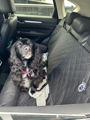 Customer photo review of Car Seat Cover