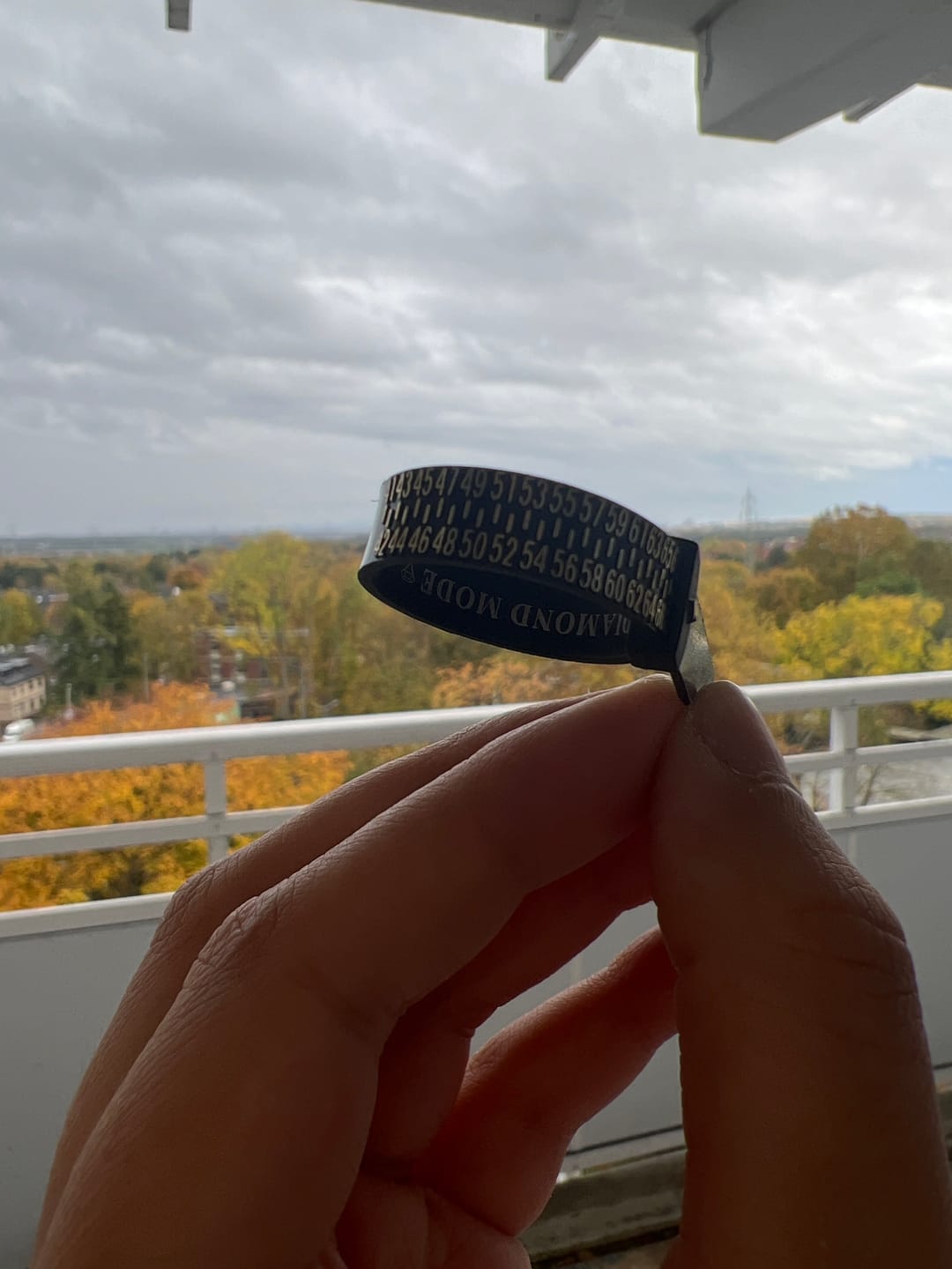 Customer photo review of Ring Sizer
