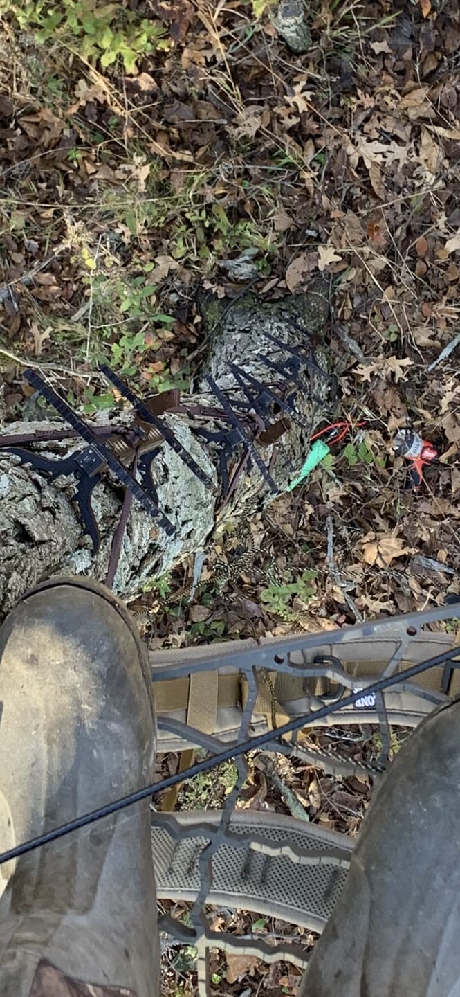 Customer photo review of 20" BEAST GEAR CLIMBING STICK