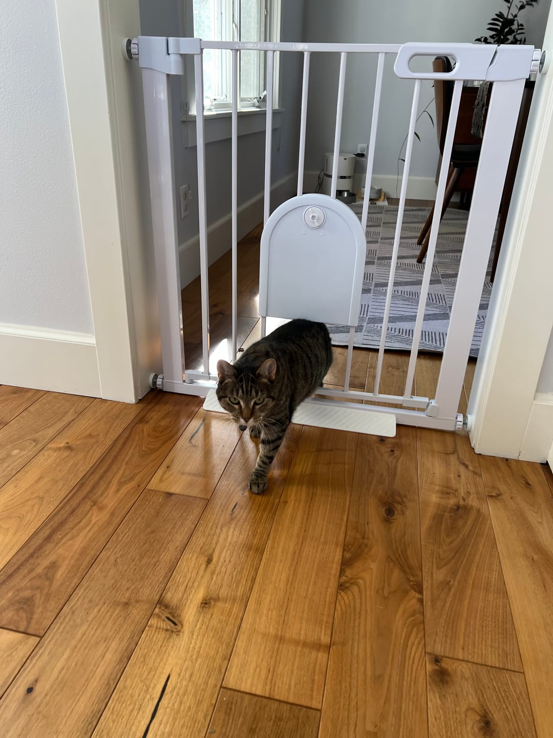 Laura M. review of FairyBaby Premium Quality Baby Gate with Cat Door photo 1 out of 3