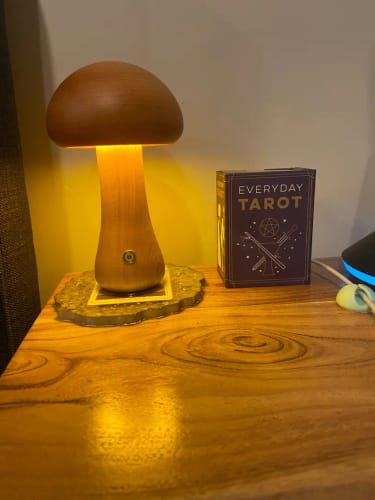Customer photo review of Wooden Mushroom Lamps