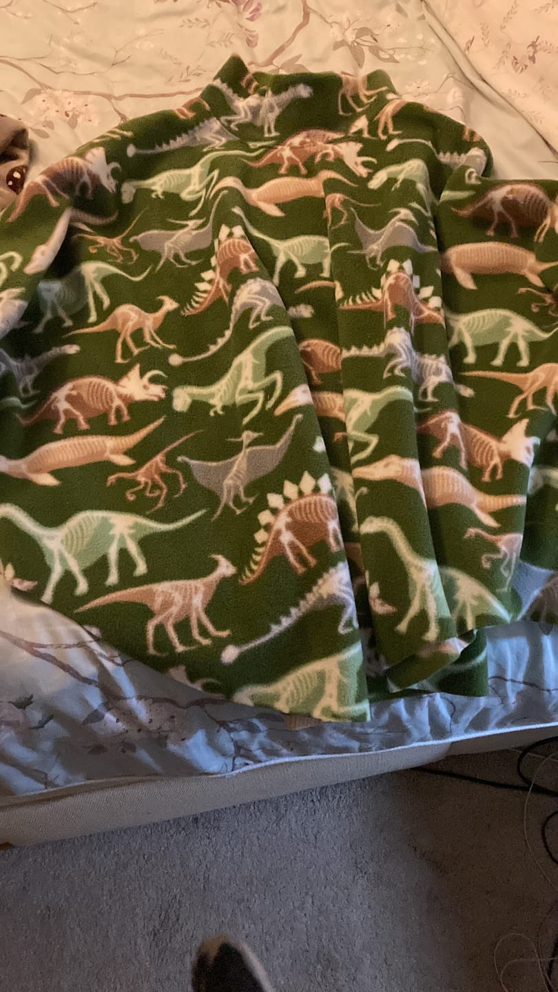 Customer photo review of Dino Skeletons on Green Anti Pill Polar Fleece Fabric