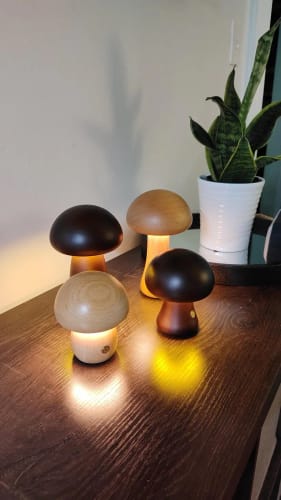 Customer photo review of Wooden Mushroom Lamps