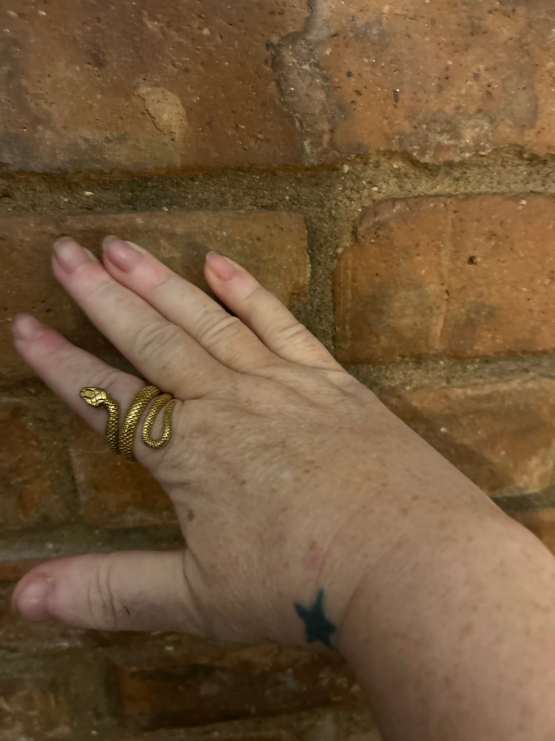 Customer photo review of SERPENT GOLD.