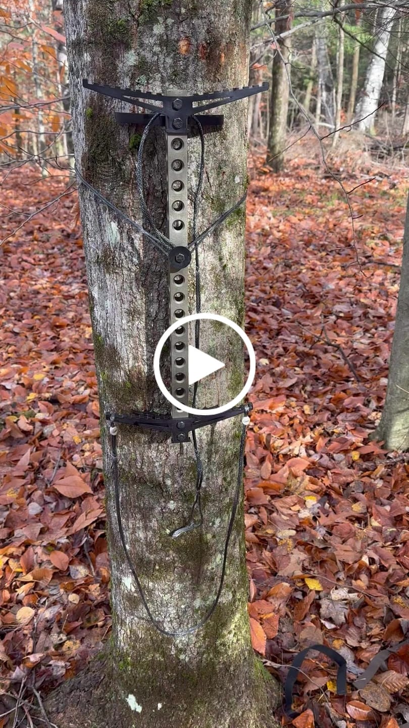 Customer video review of 20" BEAST GEAR CLIMBING STICK
