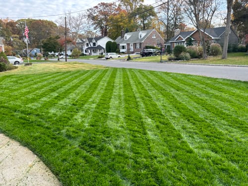 Customer photo review of Big League Lawns - CheckMate™ for Push Mowers