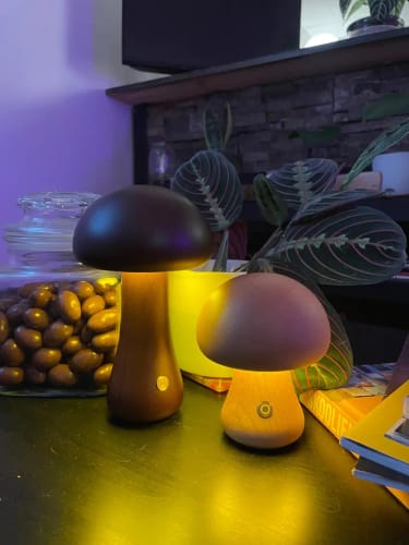 Customer photo review of Wooden Mushroom Lamps