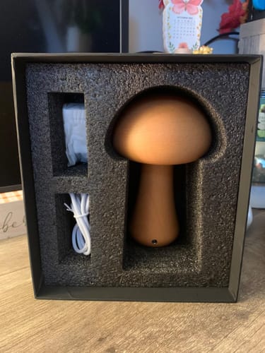 Customer photo review of Wooden Mushroom Lamps