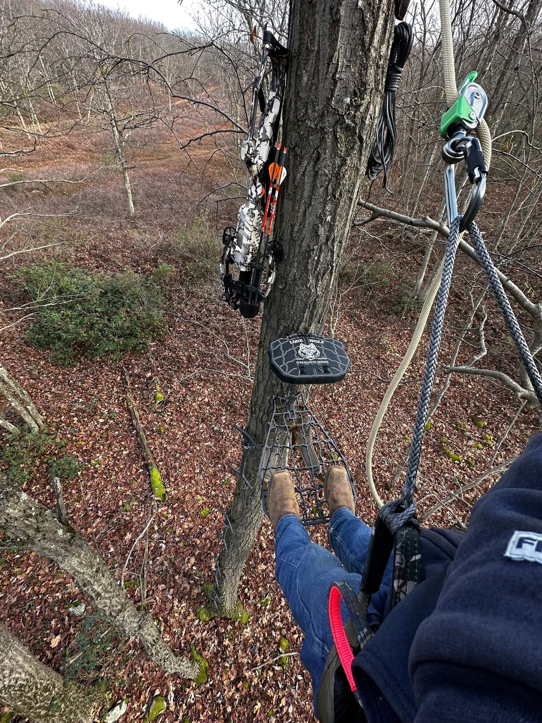Customer photo review of D'Acquisto Series Hang-On .75