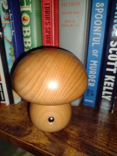 Customer photo review of Wooden Mushroom Lamps