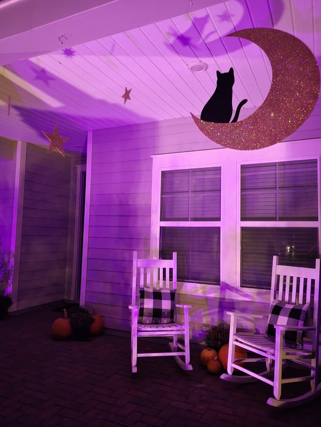 Customer photo review of Unfinished Wood Cat and Moon Silhouette Shape - Craft - up to 36"