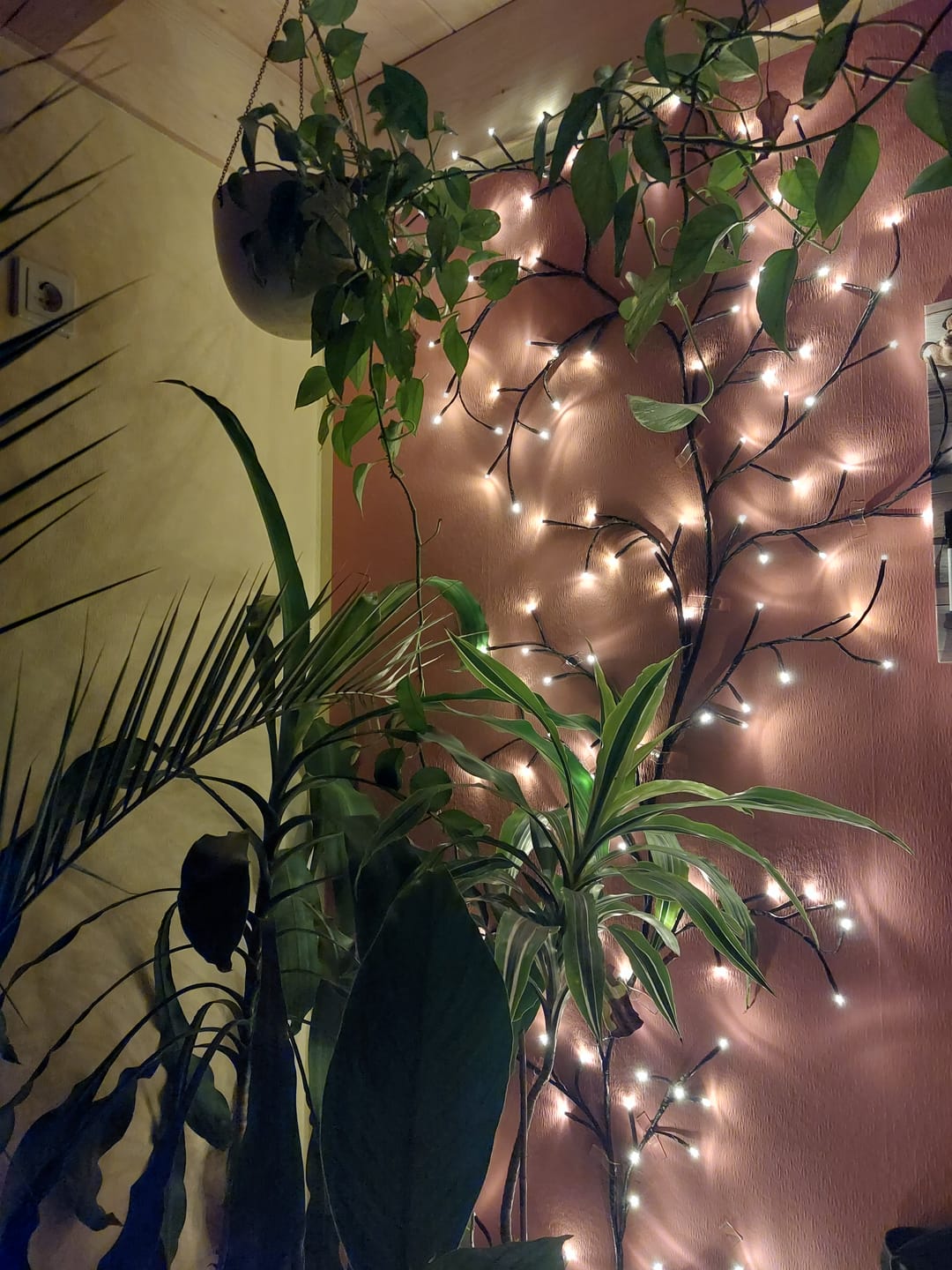 Customer photo review of Bäumlein® - Weinrebe mit 144 LED's