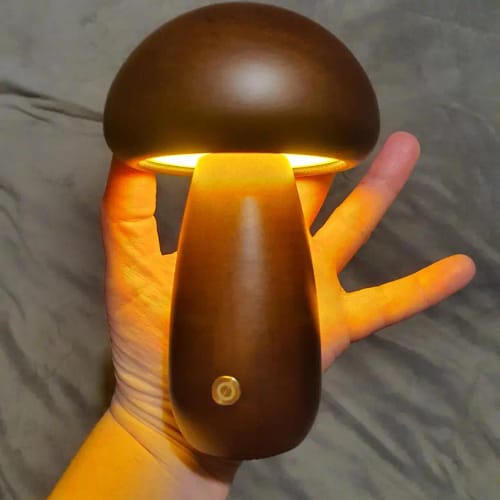 Customer photo review of Wooden Mushroom Lamps