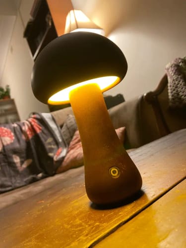 Customer photo review of Wooden Mushroom Lamps
