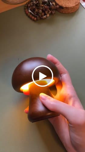 Customer video review of Wooden Mushroom Lamps