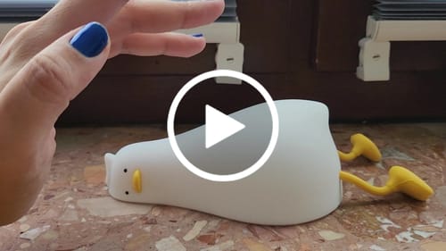 Customer video review of Benson Lying Flat Existential Crisis Duck Night Light