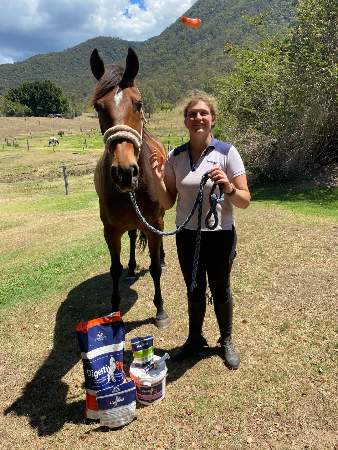 Customer photo review of Digestive HP