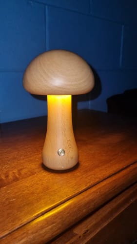 Customer photo review of Wooden Mushroom Lamps