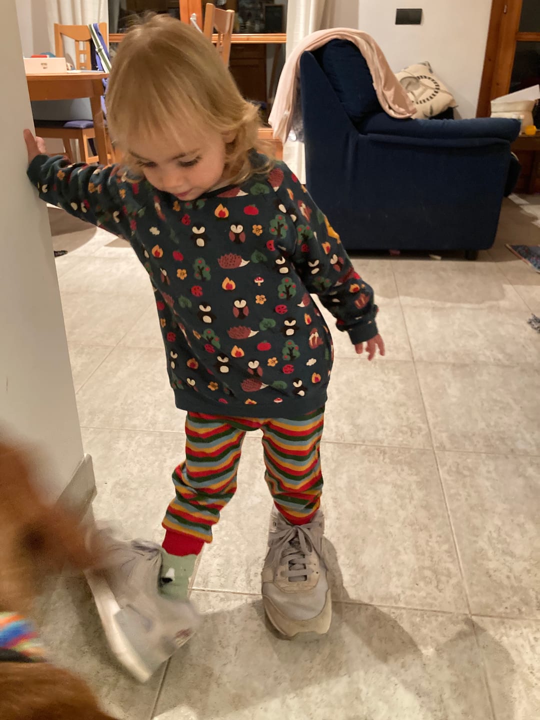 Customer photo review of Woodland Walk Long Sleeve Raglan Sweatshirt