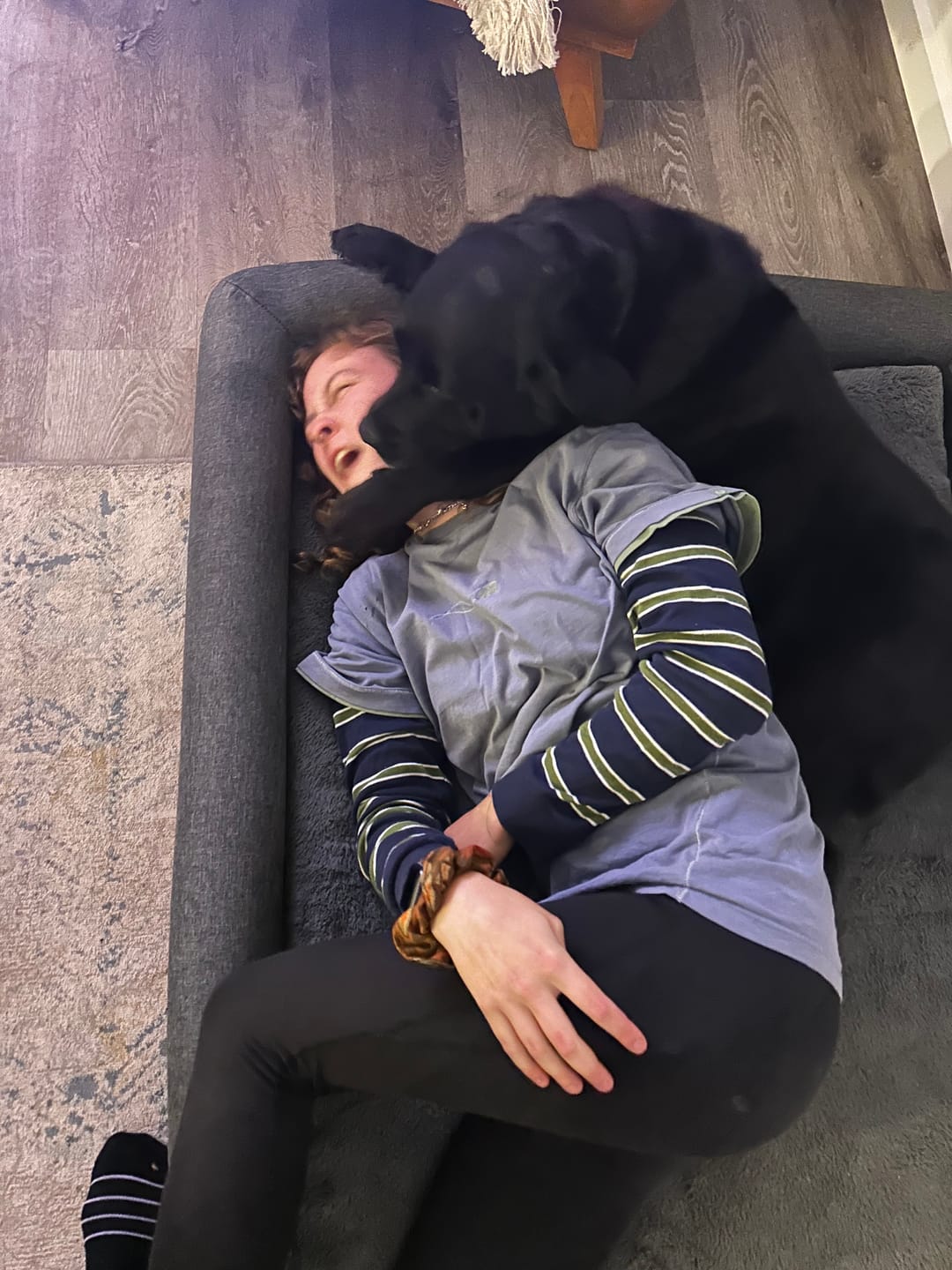 Customer photo review of PaWz Memory Foam Calming Dog Bed