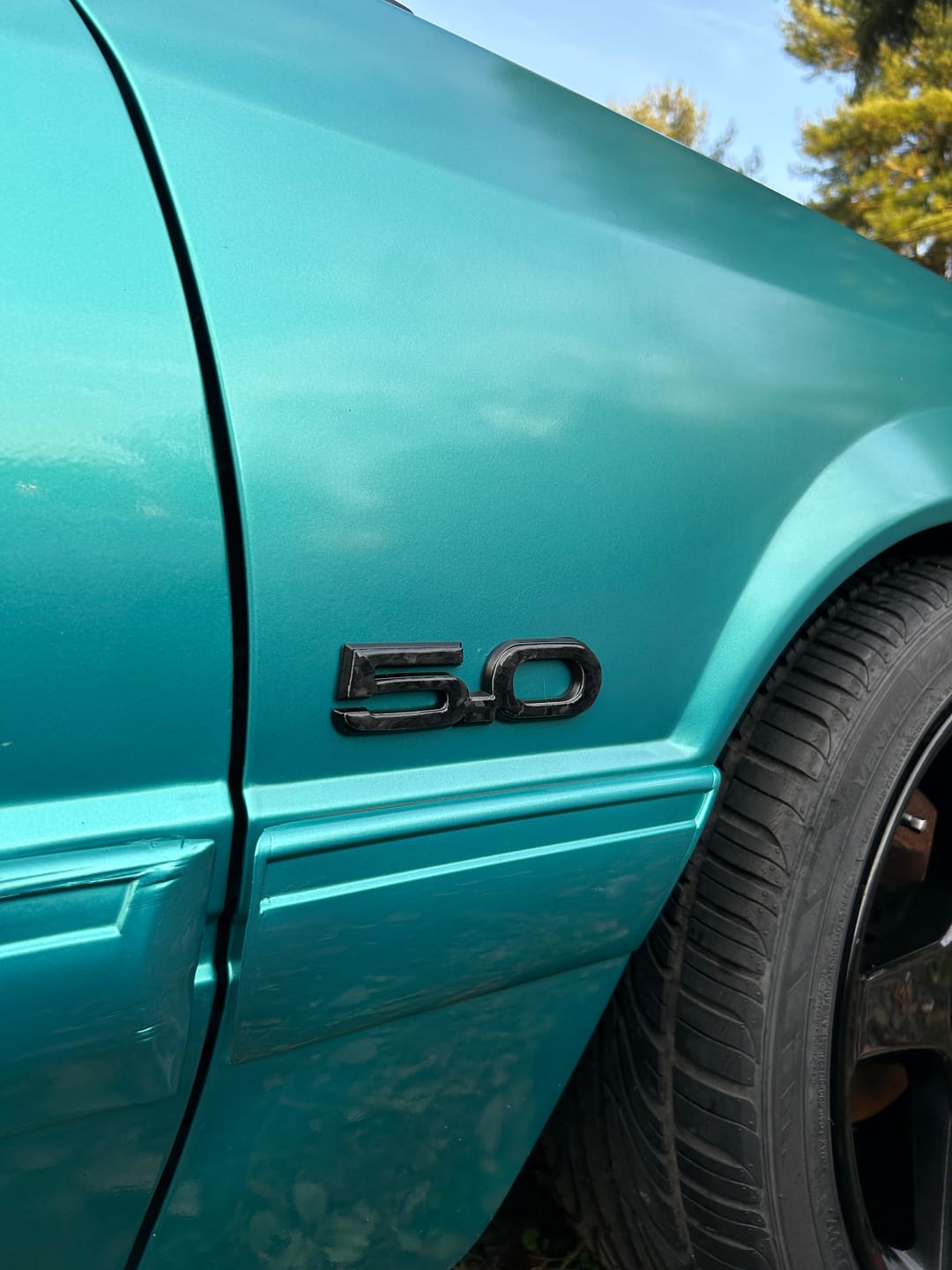 Customer photo review of DynaCarbon™️ 5.0 Logo for Ford Mustang GT 2015-2023