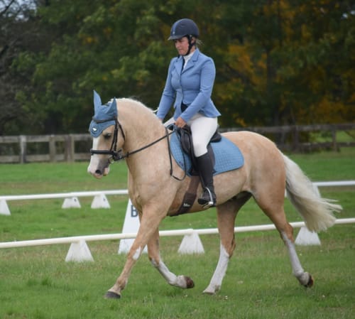 Customer photo review of Digestive EQ - Equine Gut Supplement