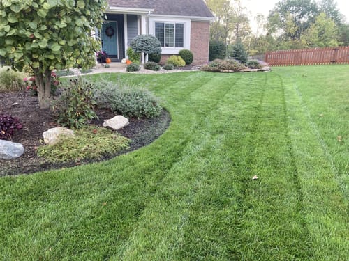 Customer photo review of Protene Performance Winter Fertilizer