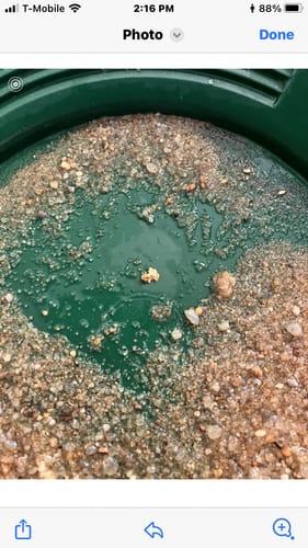 Customer photo review of NUGGET RESERVE 'CLUNKER' - Gold Panning Paydirt