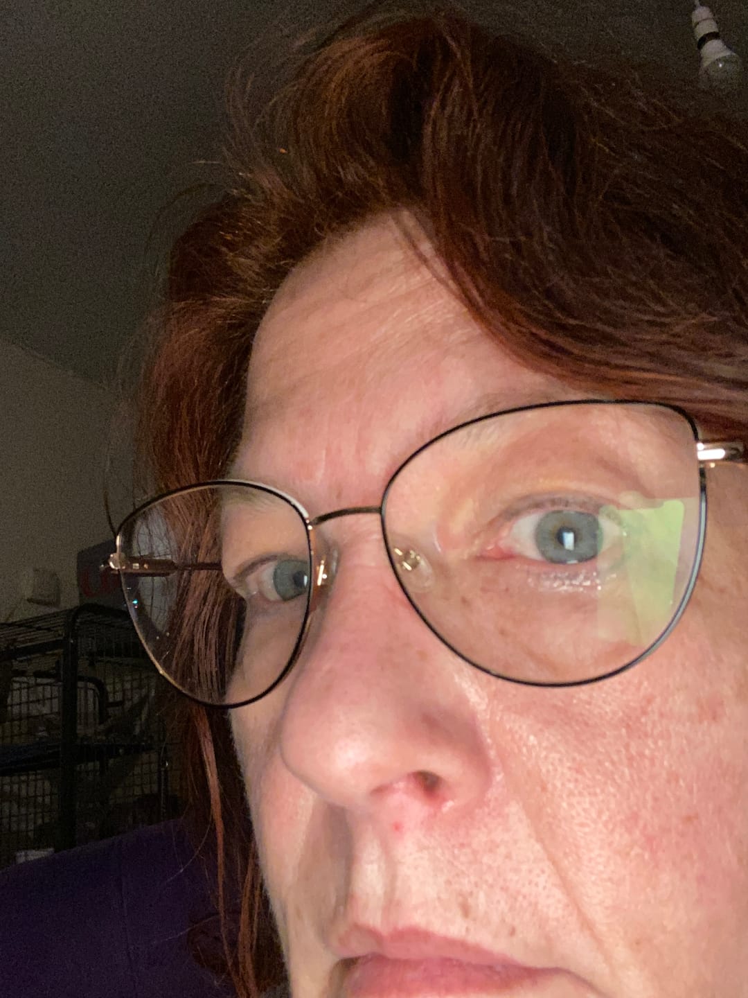 Customer photo review of Junipurr Titanium Flatback Labret Threadless