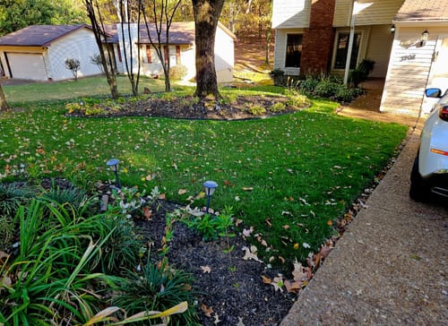 Customer photo review of GCI Turf Cool Blue Grass Seed