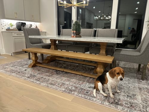 Customer photo review of Distressed Vintage Cezanne Blush Area Rug