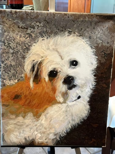 Customer photo review of Paint your photo