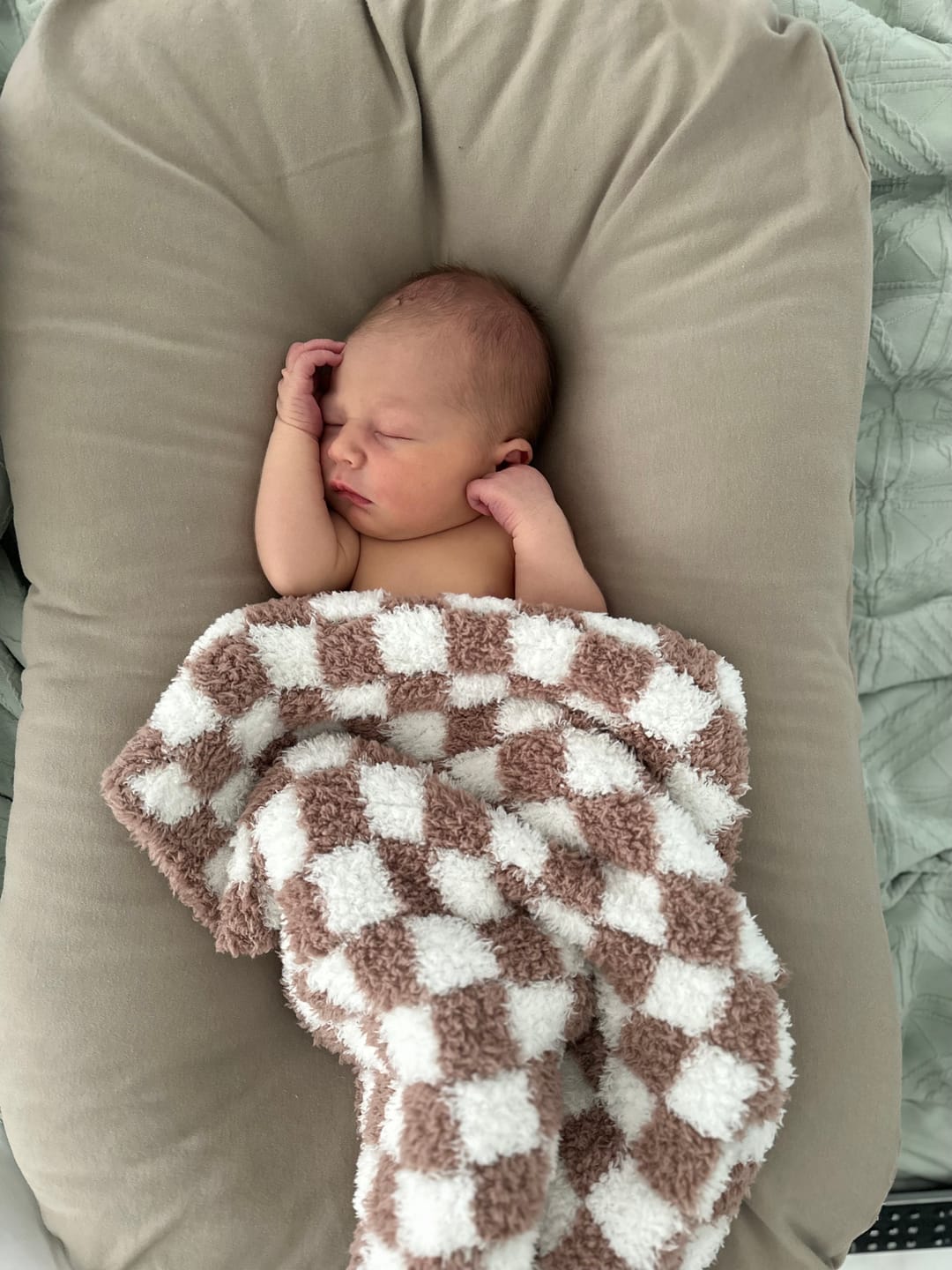 Customer photo review of Chocolate Milk & White Check Print Lovey