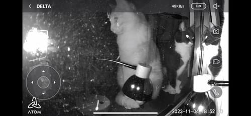 ATOM Cam Swingに関するお客様の写真付きレビュー