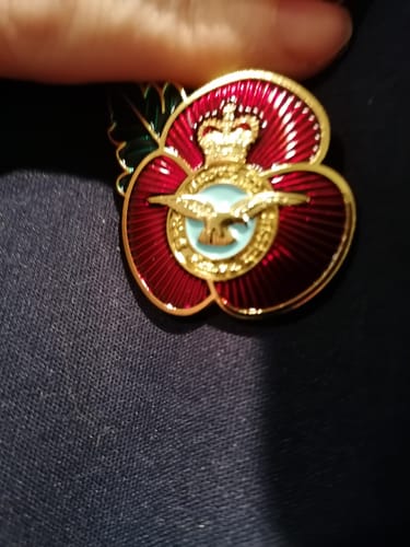 Donna review of Poppy Pin Badge RAF Emblem image 1 out of 1
