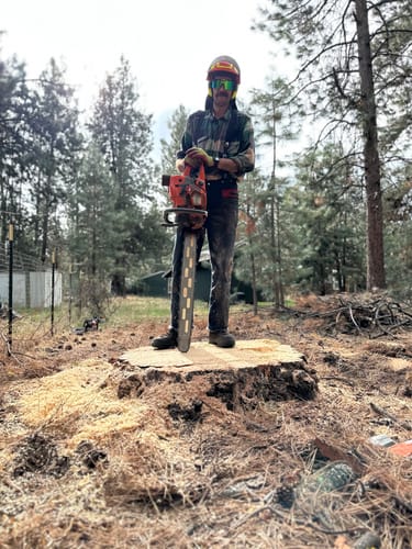 Customer photo review of Denim Pro 3600 (TCS)