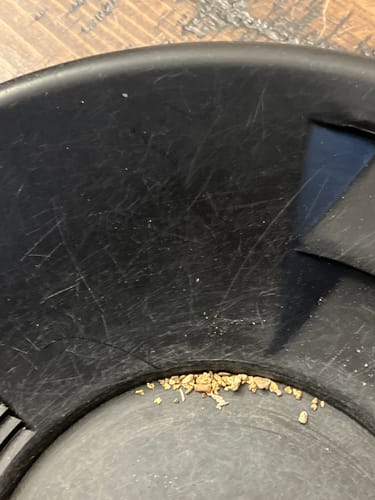 Customer photo review of Nugget Reserve '10 OUNCE MOTHERLODE BONANZA' - Gold Panning Paydirt