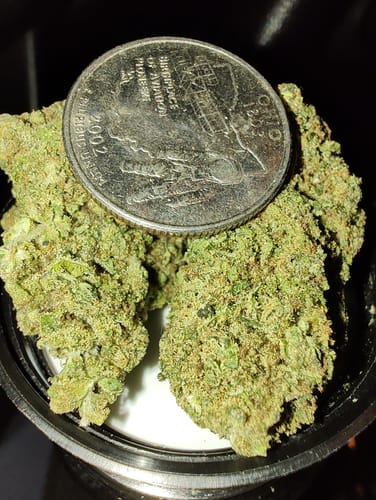 Customer photo review of THCA Hemp Flower - Blue Meringue (Hybrid)