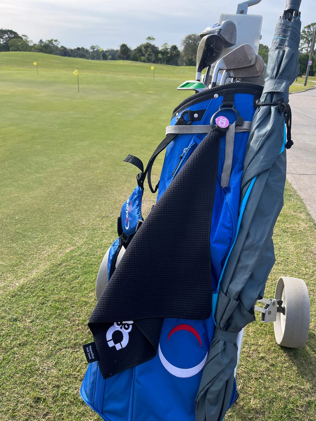 Customer photo review of MagnetOwl Mini