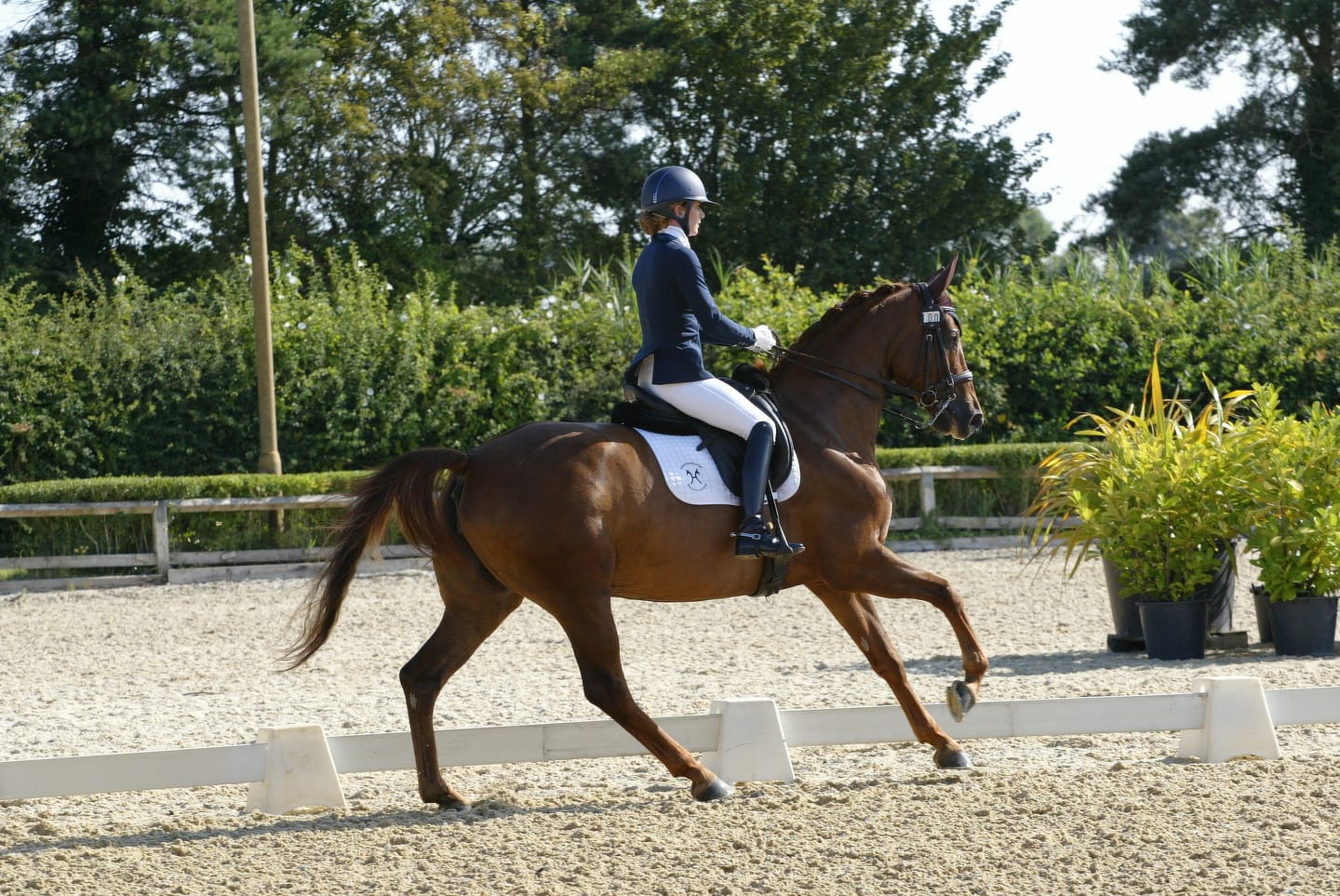 Customer photo review of Flexcare Equine (Joint Supplement For Horses)