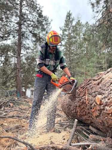 Customer photo review of Denim Pro 3600 (TCS)