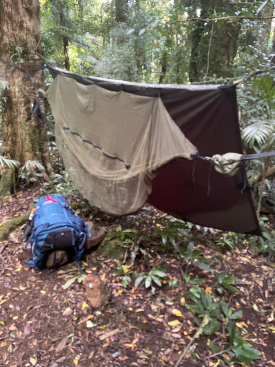 Customer photo review of Ultralight Hammock Bug Net