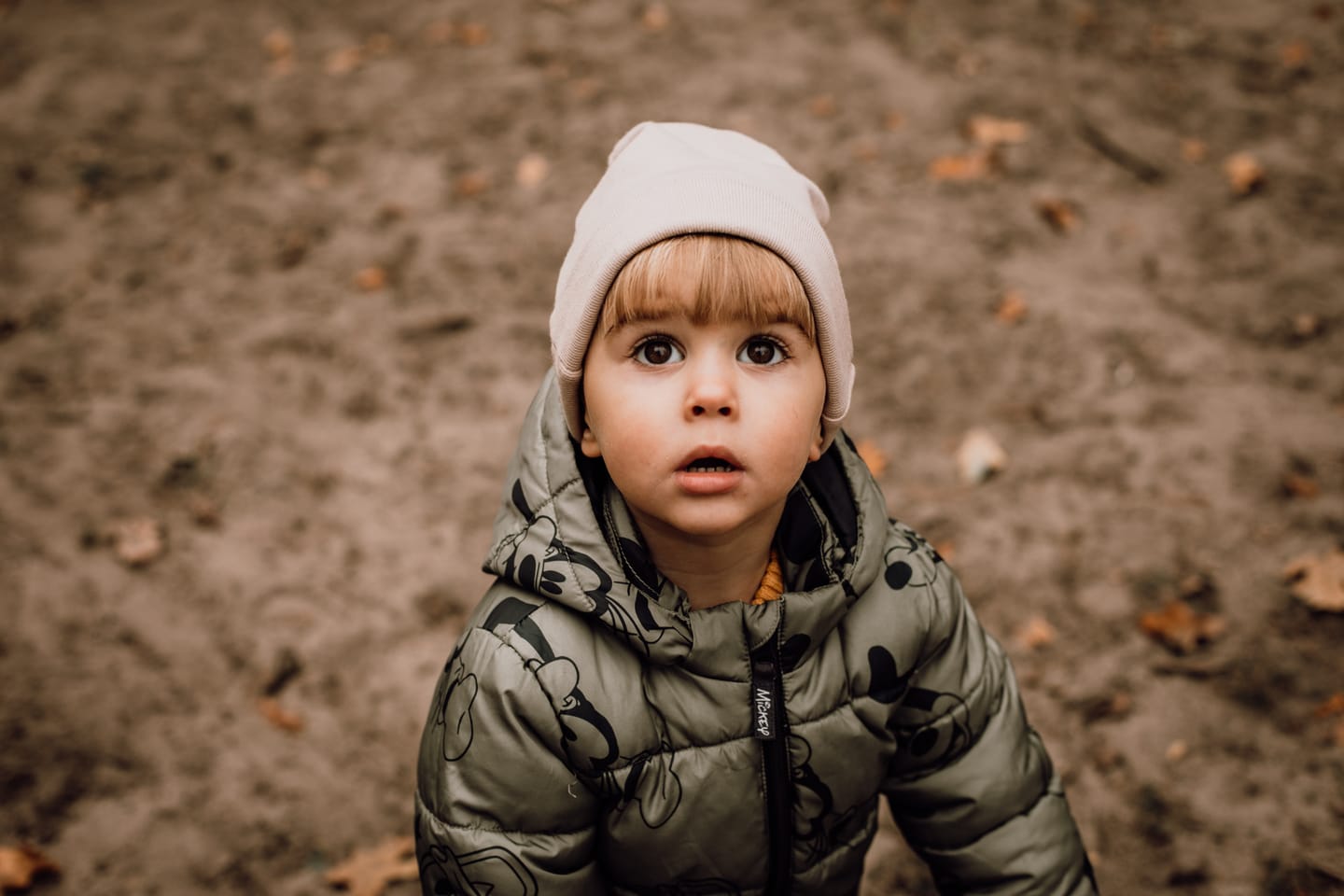 Customer photo review of FALL SERENITY LIGHTROOM PRESETS
